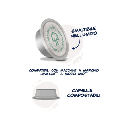 Schema di smaltimento capsule compostabili Caffè Borbone Don Carlo Miscela Oro: indicazione per il conferimento nell'umido organico.